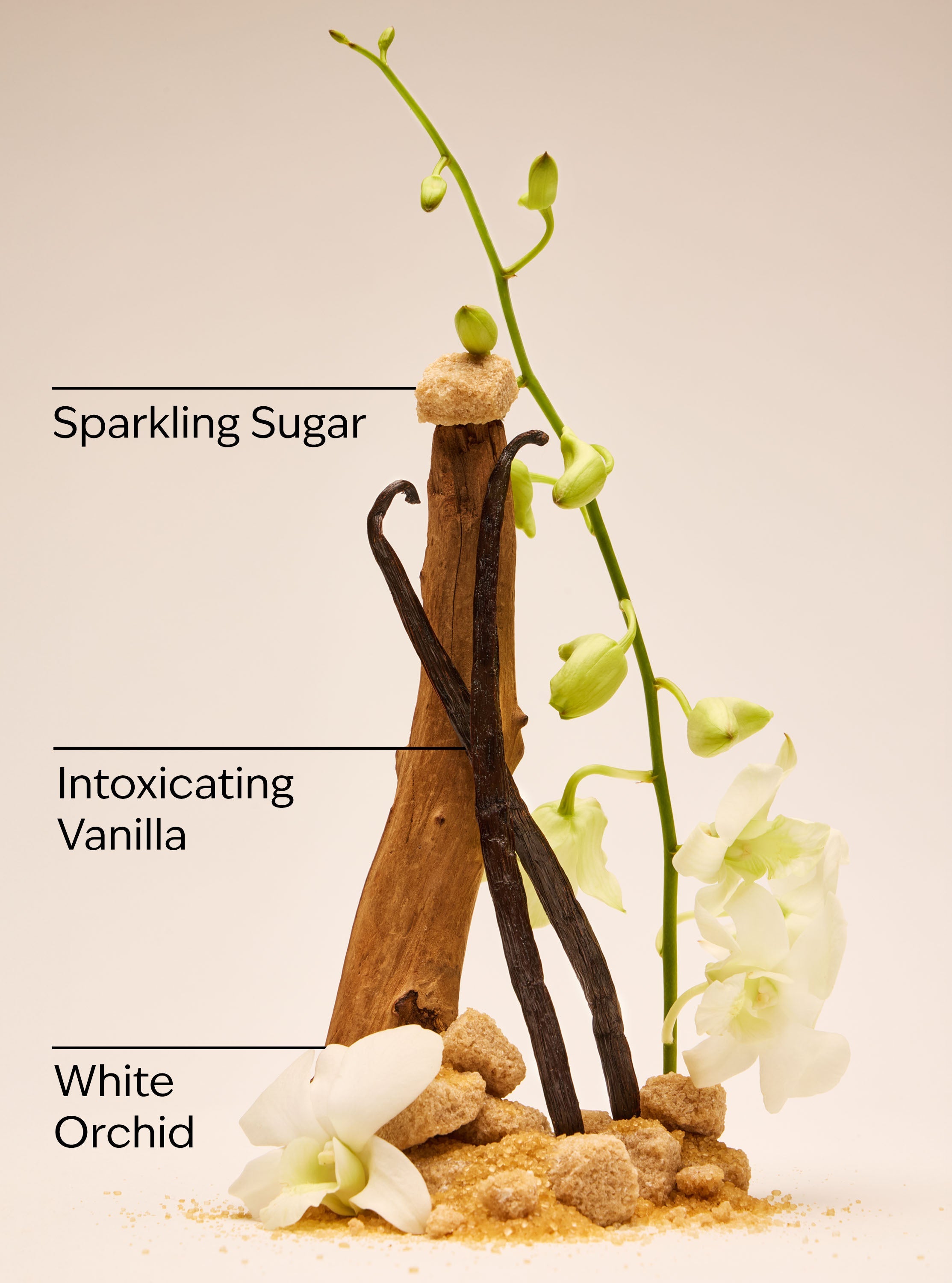 Warm Vanilla Sugar Mini Gift Set