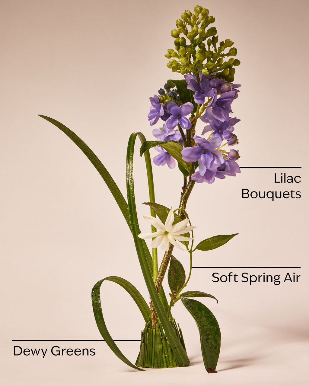 Fresh Cut Lilacs Wallflowers Refills 2-Pack