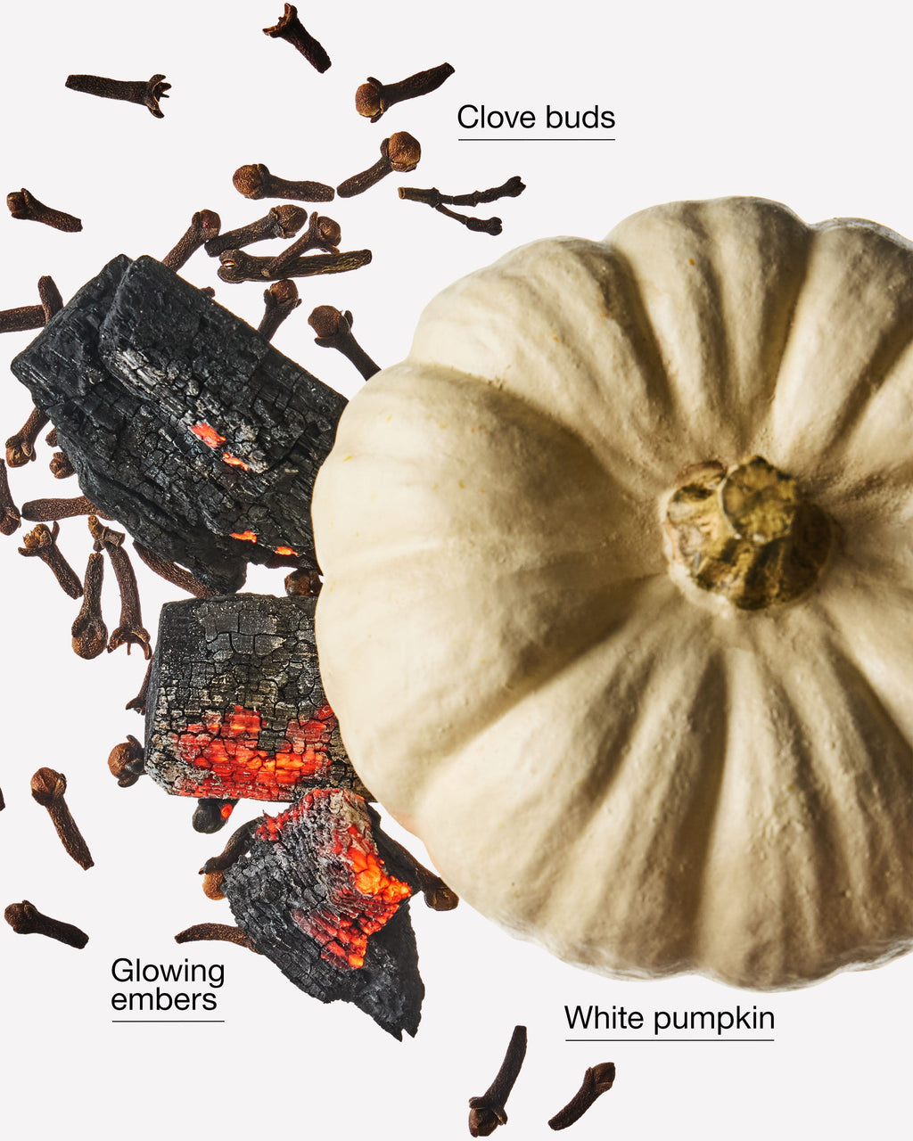 Pumpkin Bonfire Wallflowers Fragrance Refill