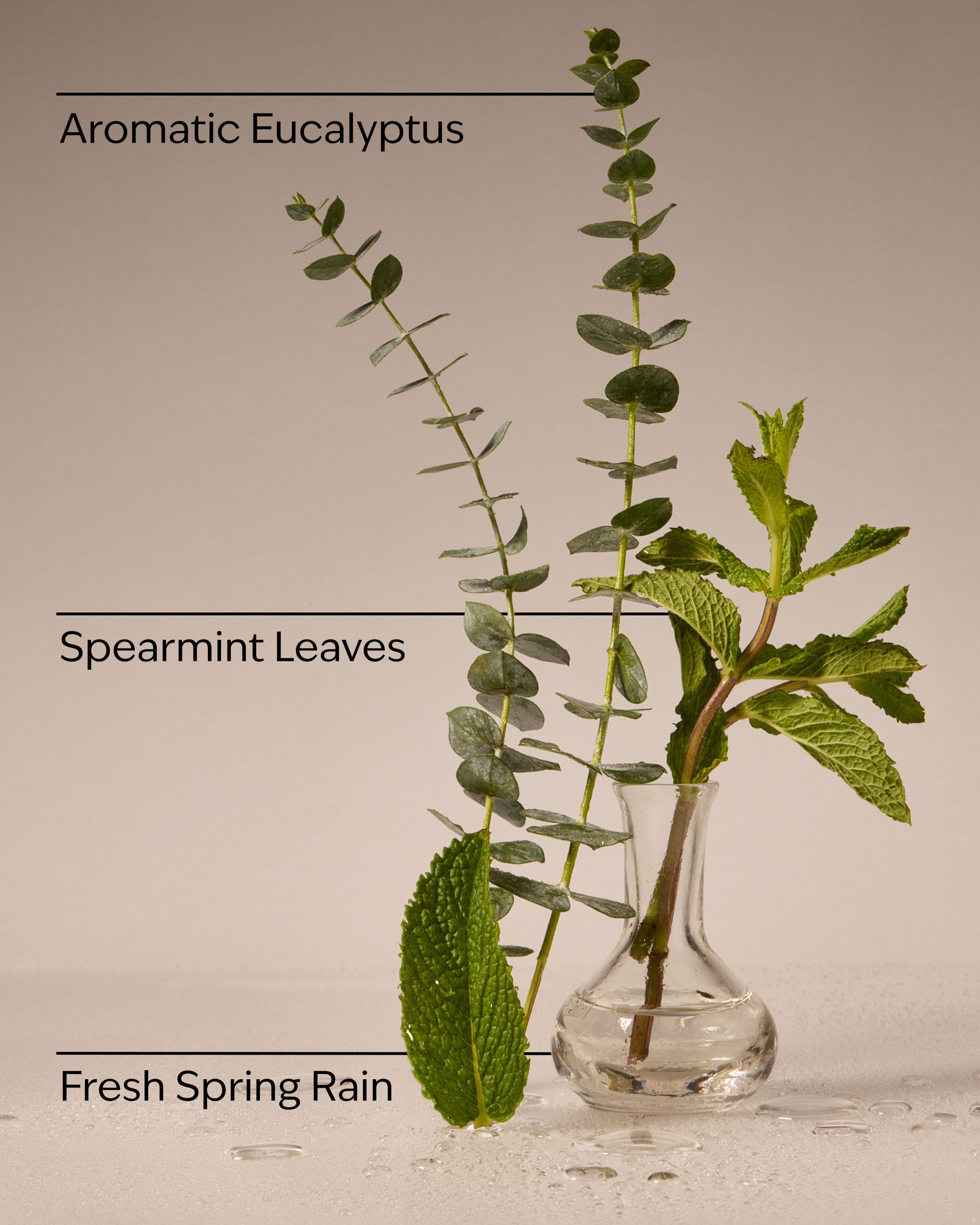 Eucalyptus Rain Wallflowers Fragrance Refill