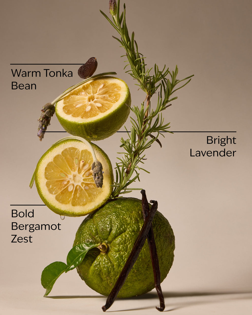 Lavender Bergamot 3-Wick Candle