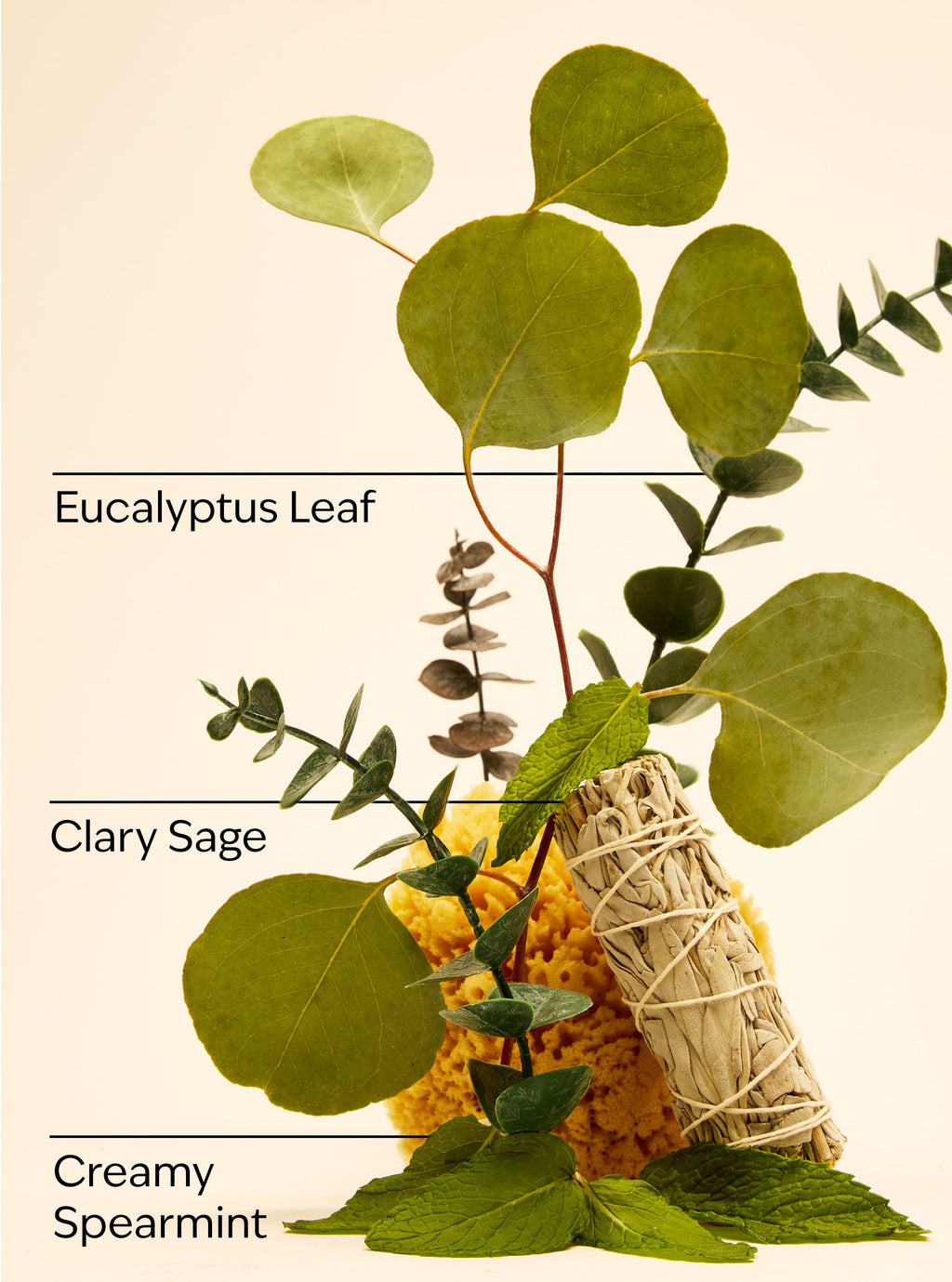 Eucalyptus Spearmint Wallflowers Fragrance Refill