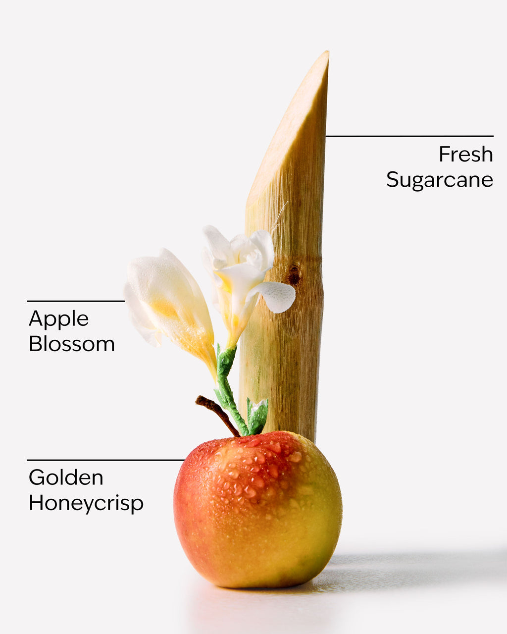 Honeycrisp Apple Wallflowers Fragrance Refill