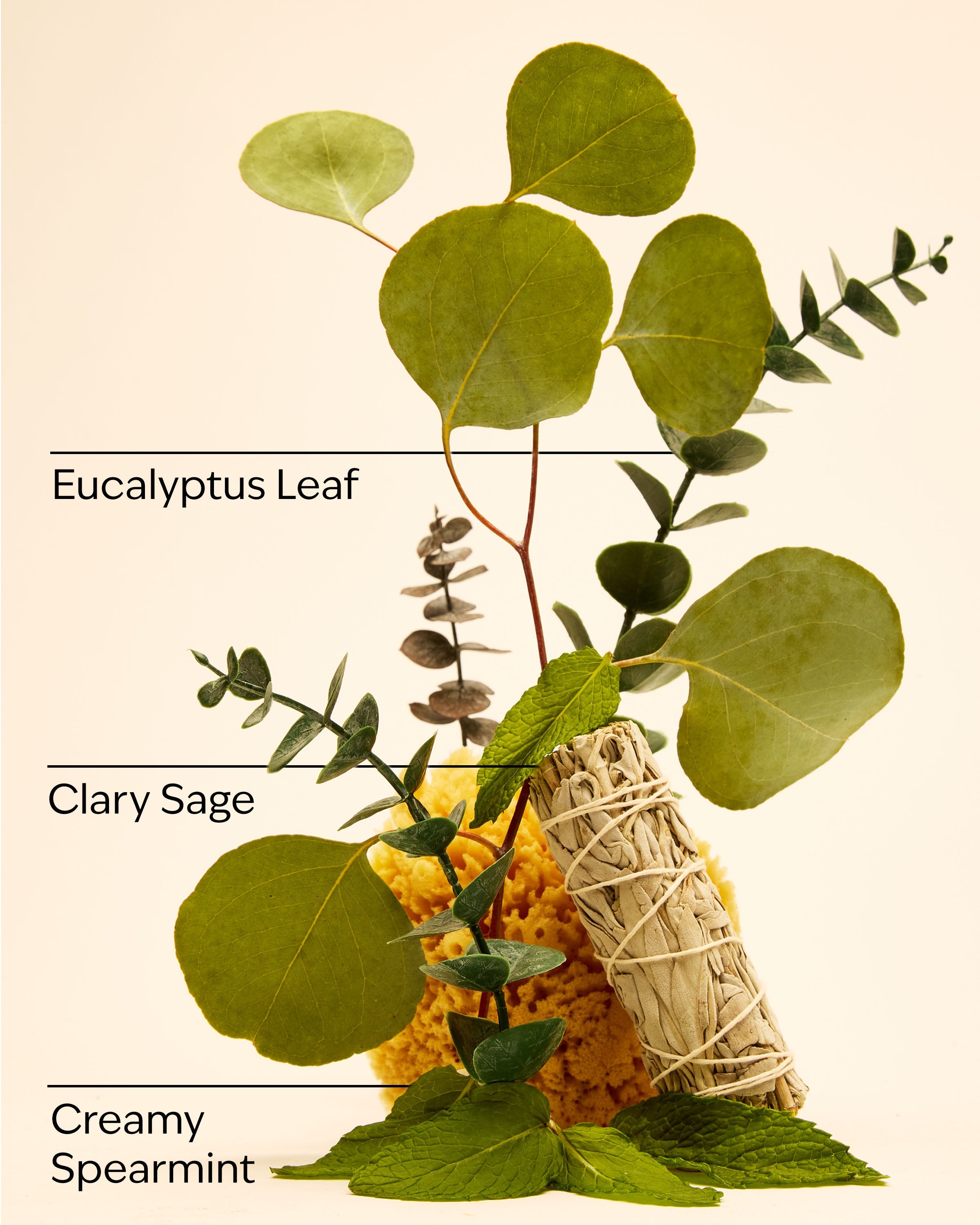 Eucalyptus Spearmint Concentrated Room Spray