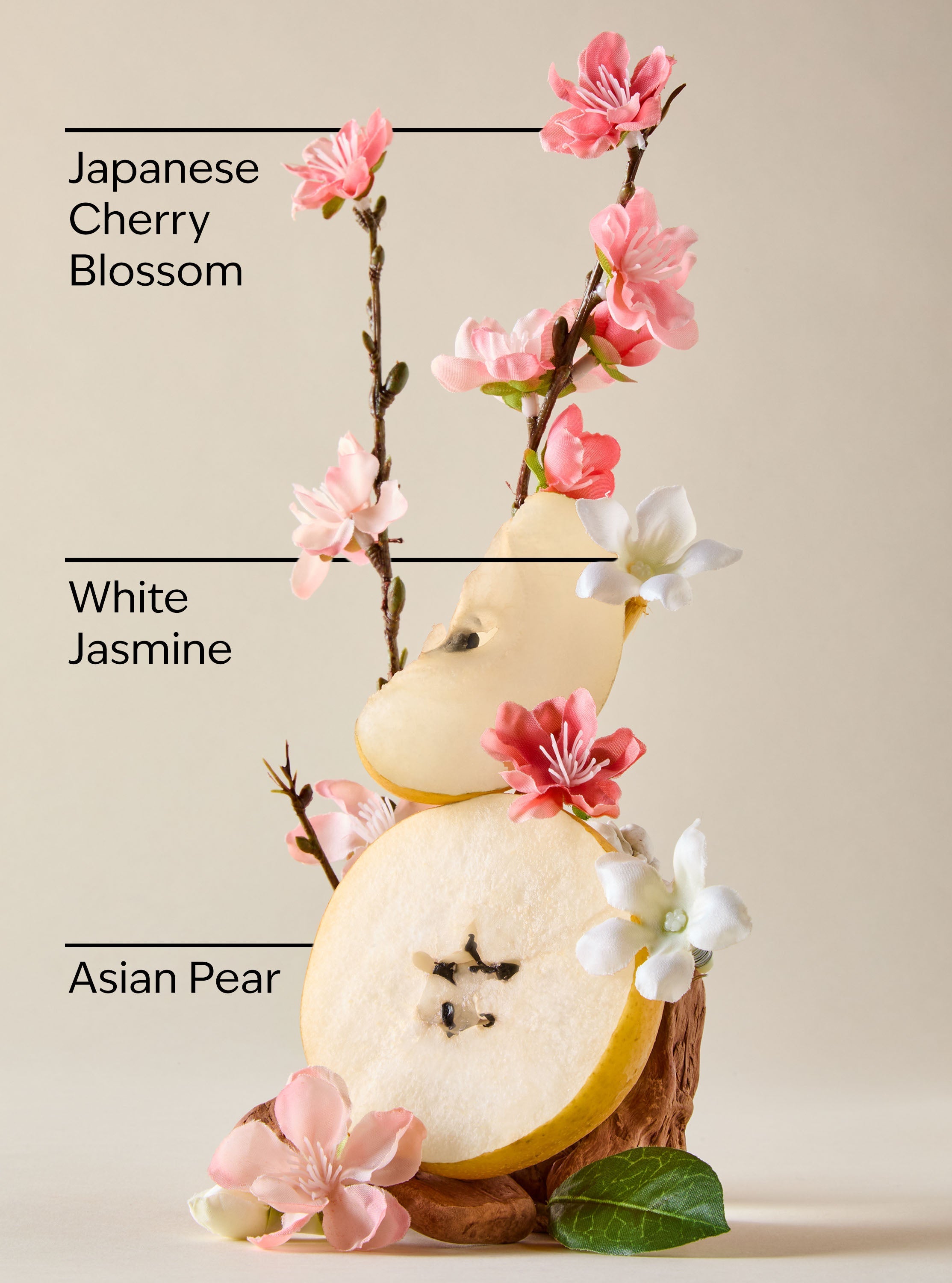 Japanese Cherry Blossom Body Lotion