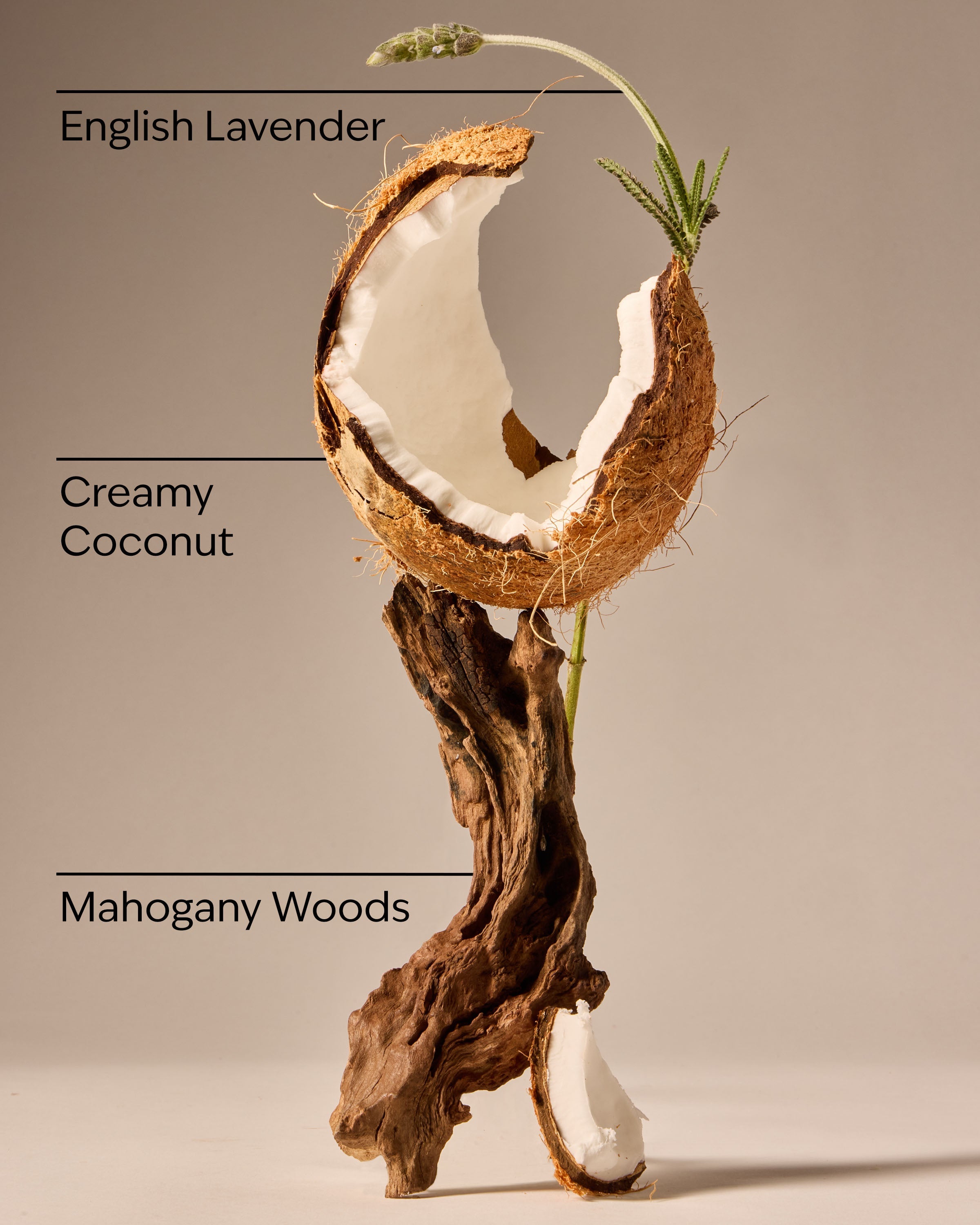 Mahogany Coconut Car Fragrance Refill