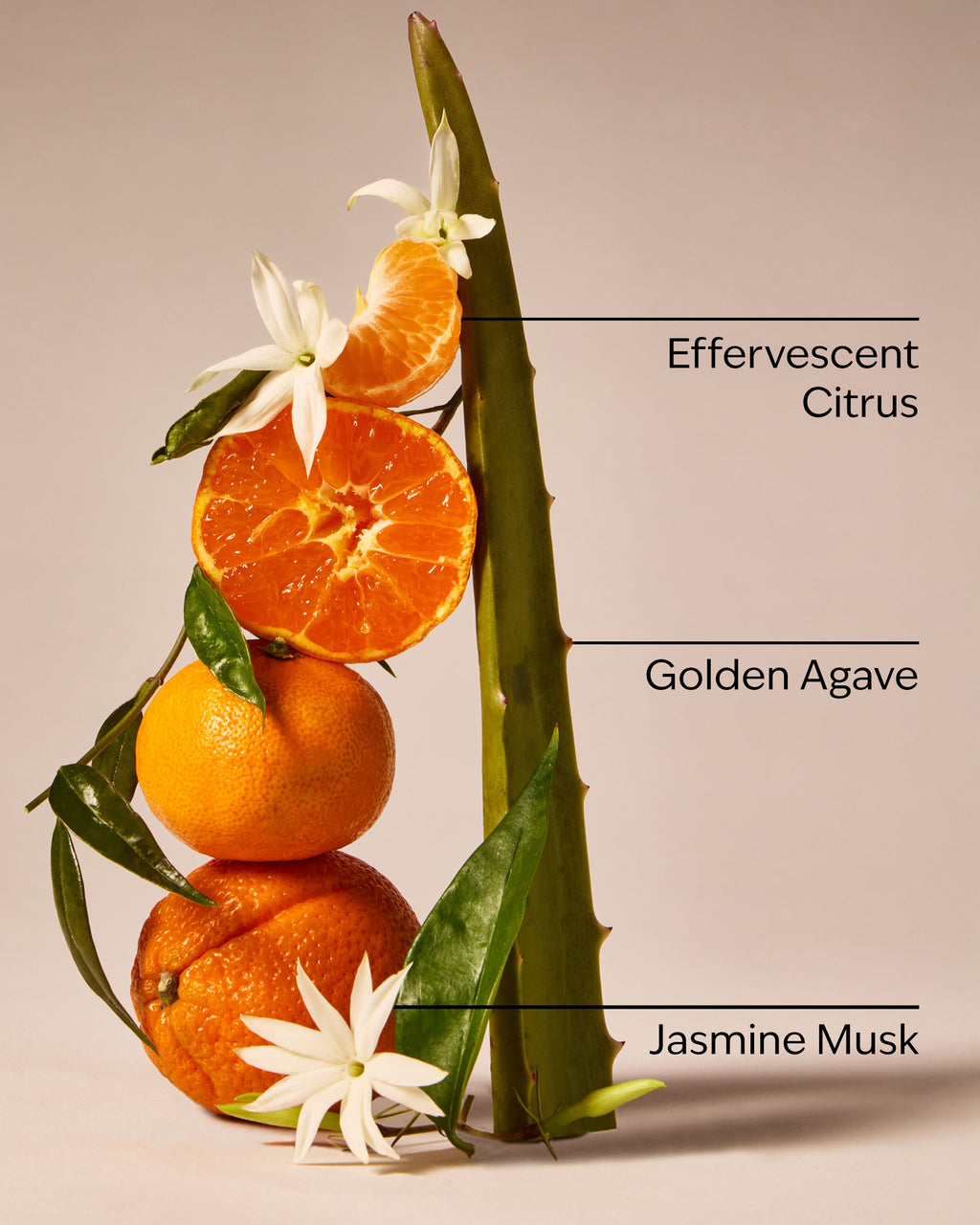 Sweet Orange & Agave Single Wick Candle