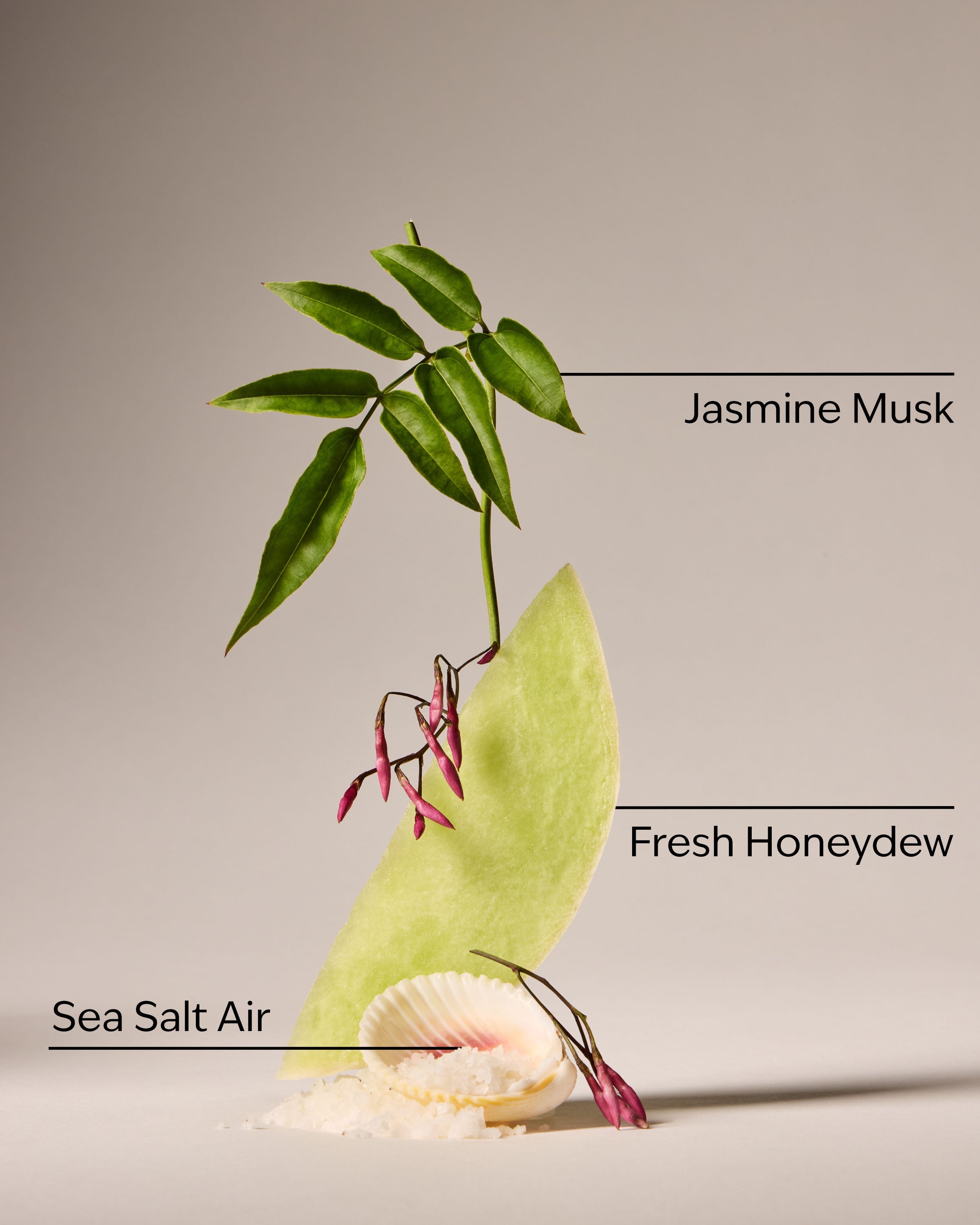 Sea Salt Travel Size Smooth & Soothe Body Cream