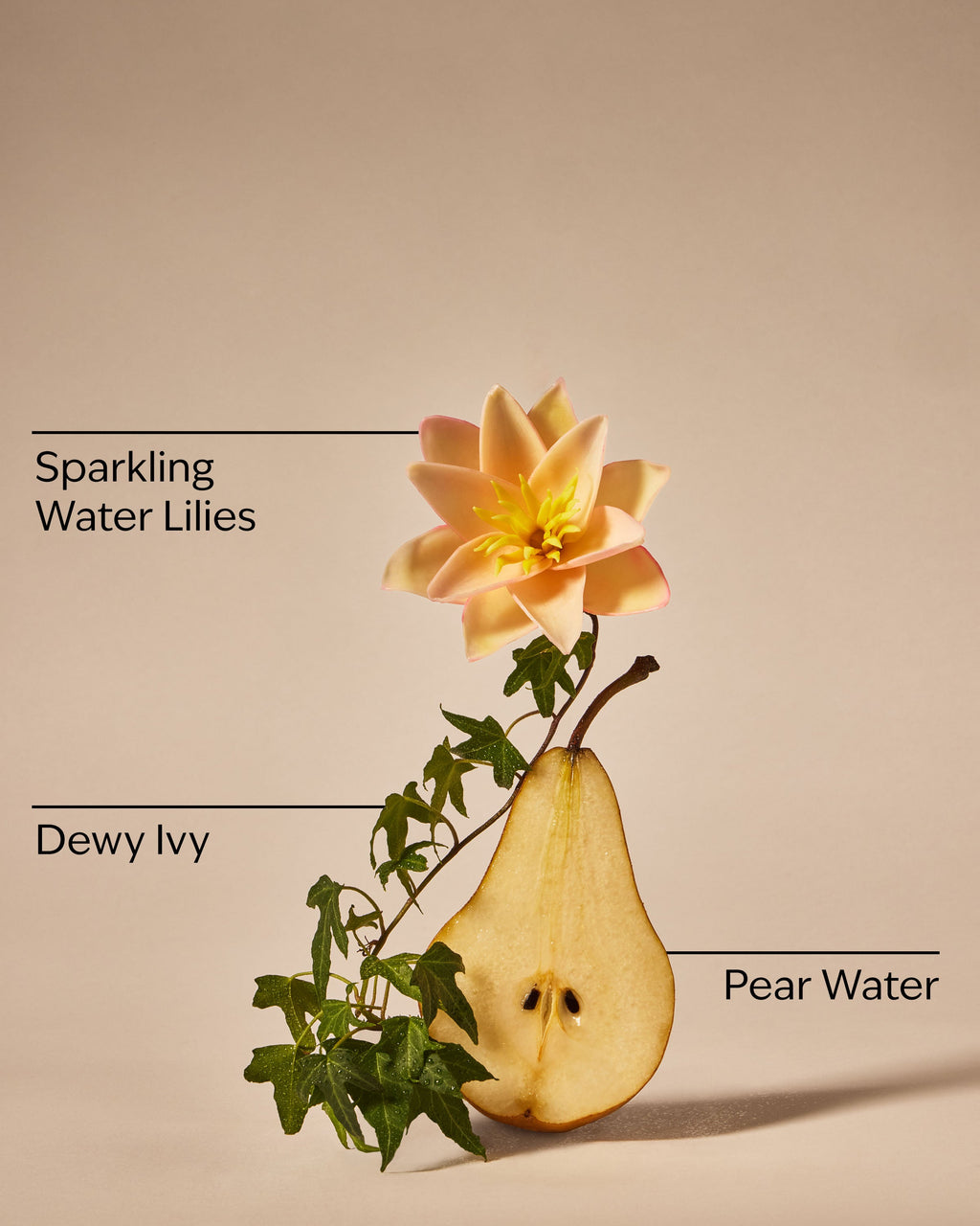 Dewy & Delicate Body Wash