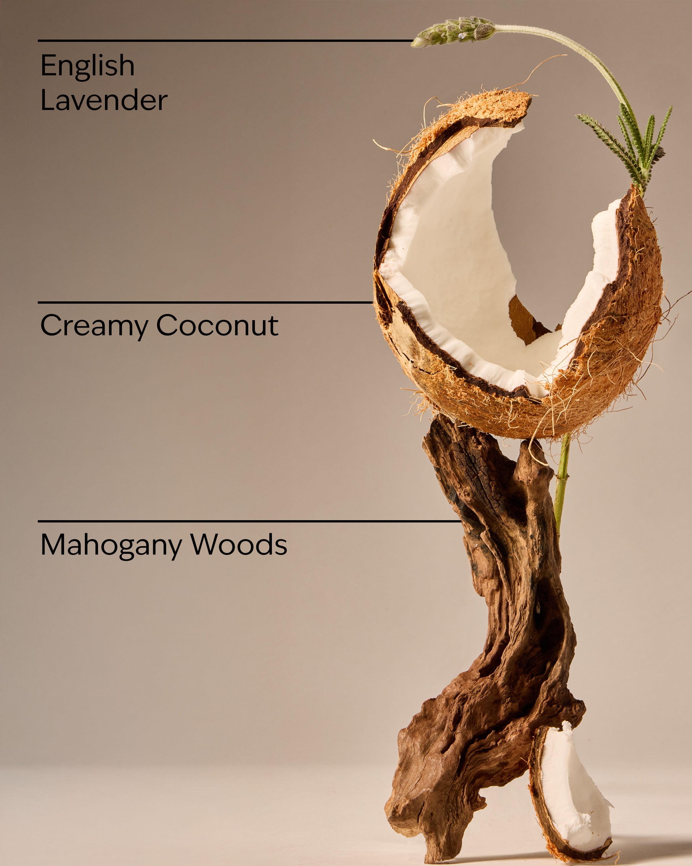 Mahogany Coconut Concentrated Room Spray
