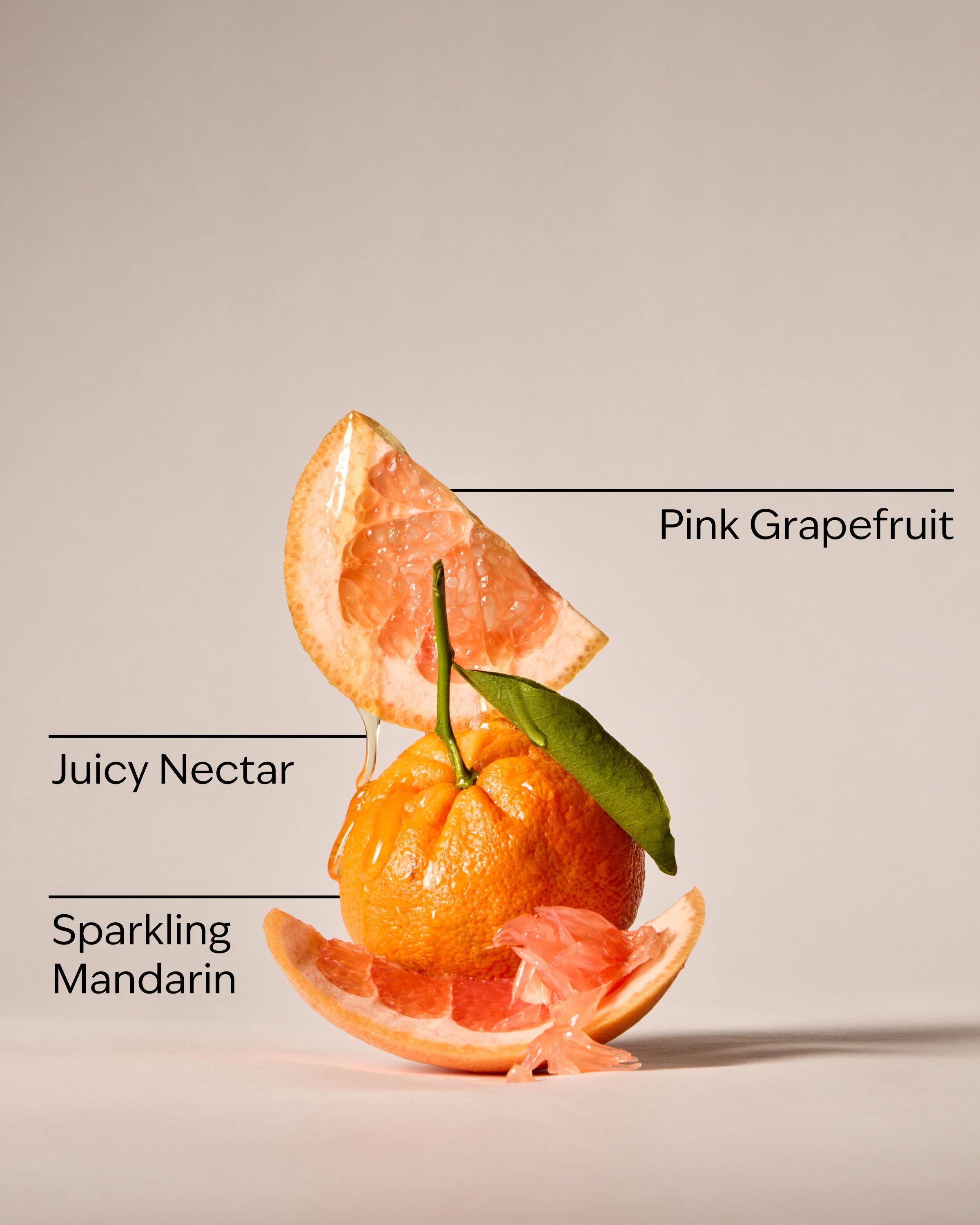 Kitchen Grapefruit Dish Wash