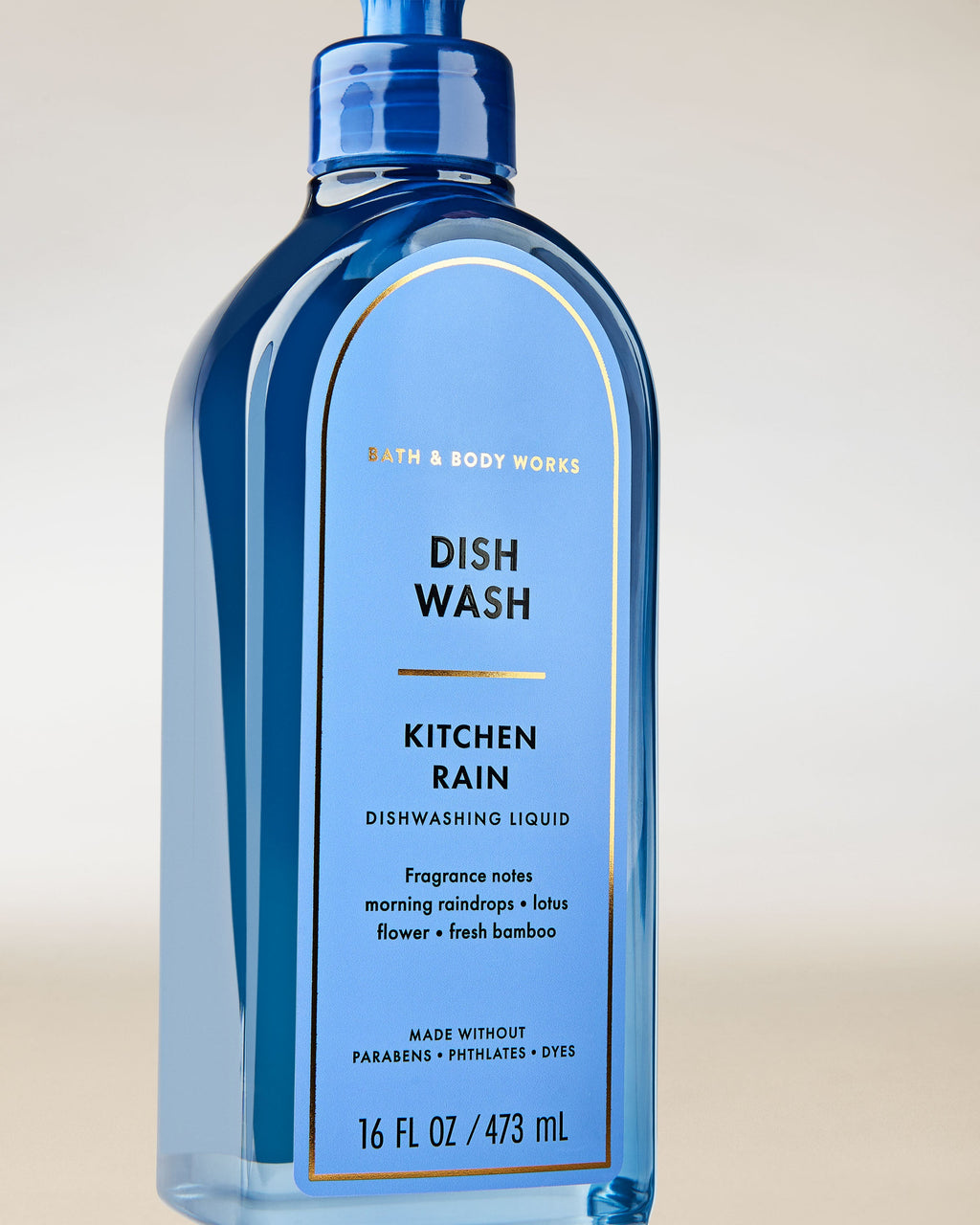 Kitchen Rain Dish Wash