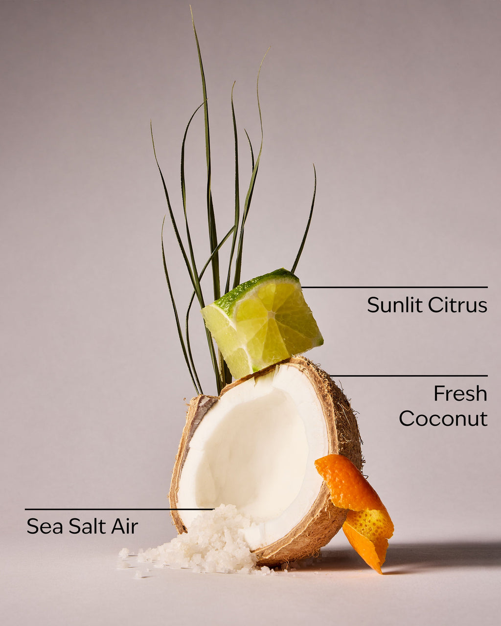 Kitchen Coconut Counter Spray
