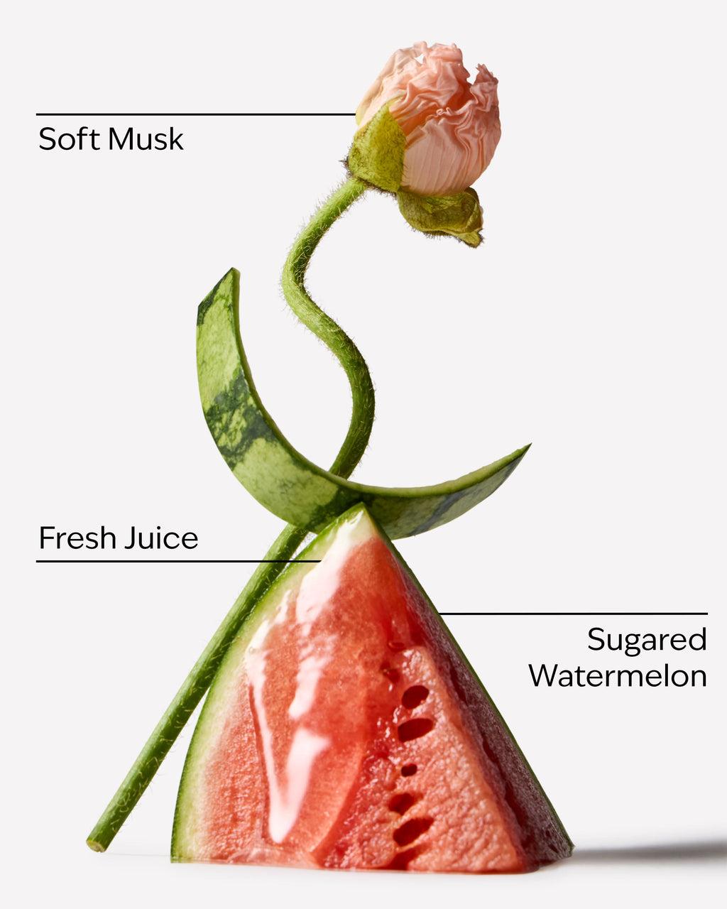 Watermelon Whirl Hand Cream