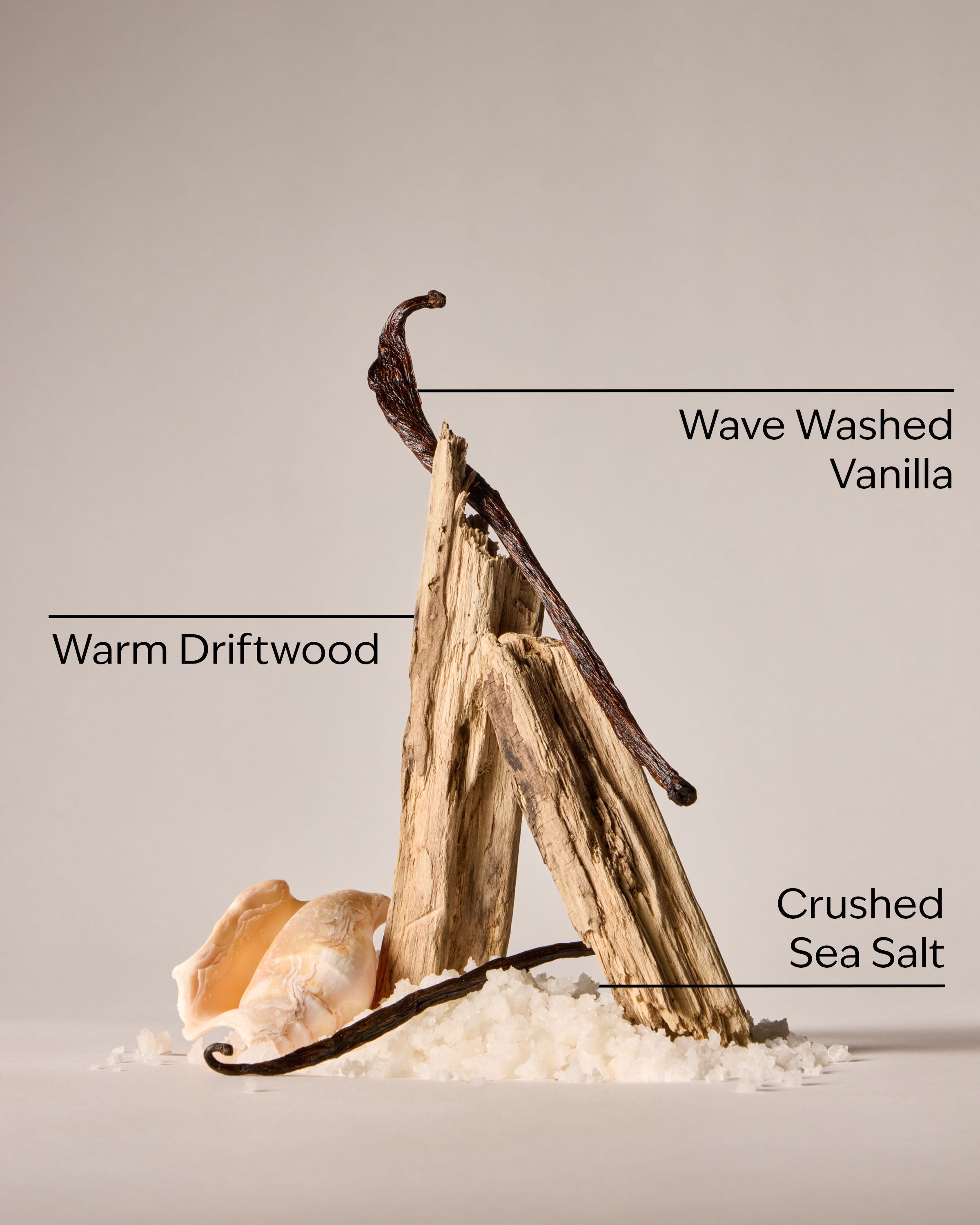 Coastal Dreaming Body Wash