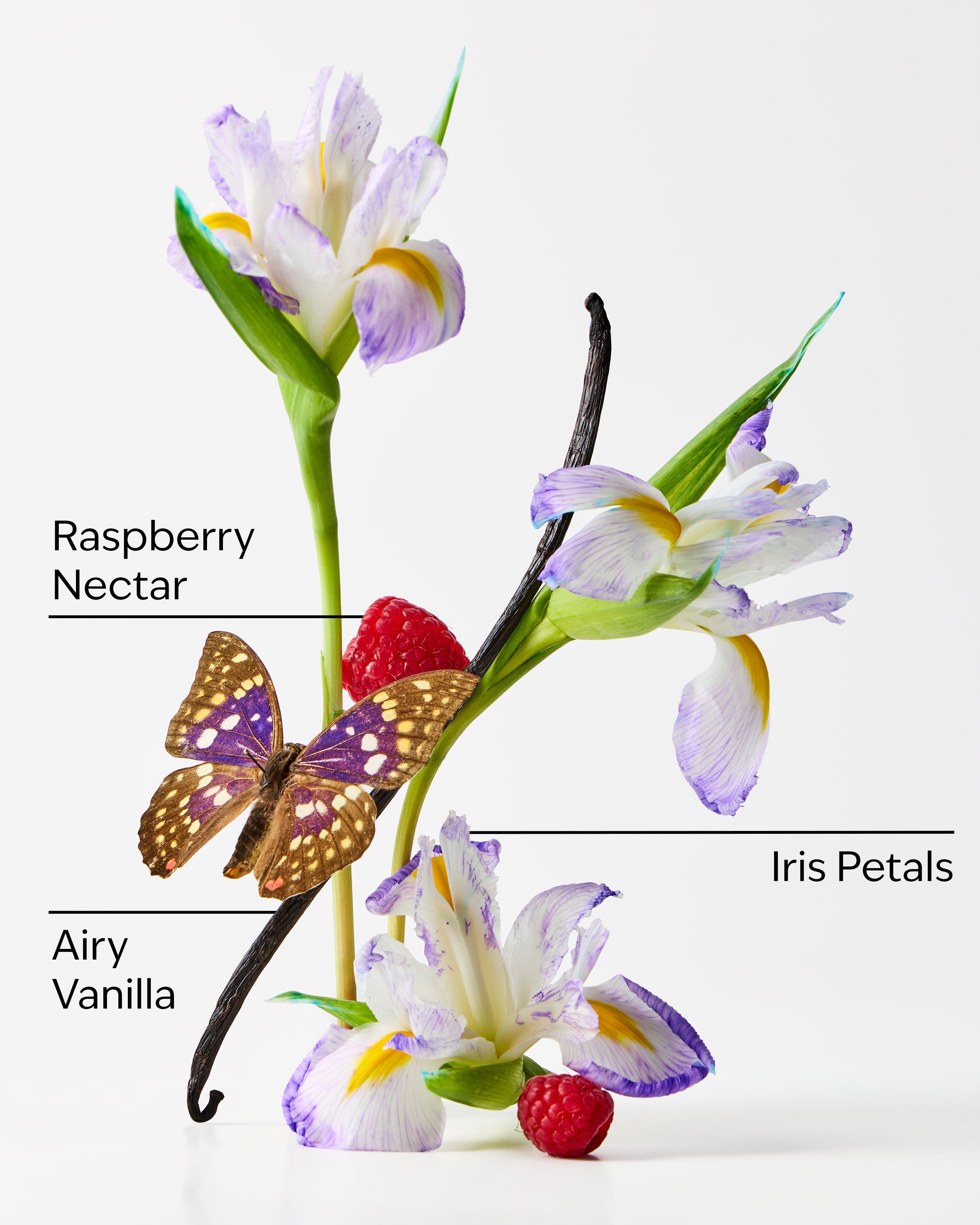 Butterfly Fine Fragrance Mist