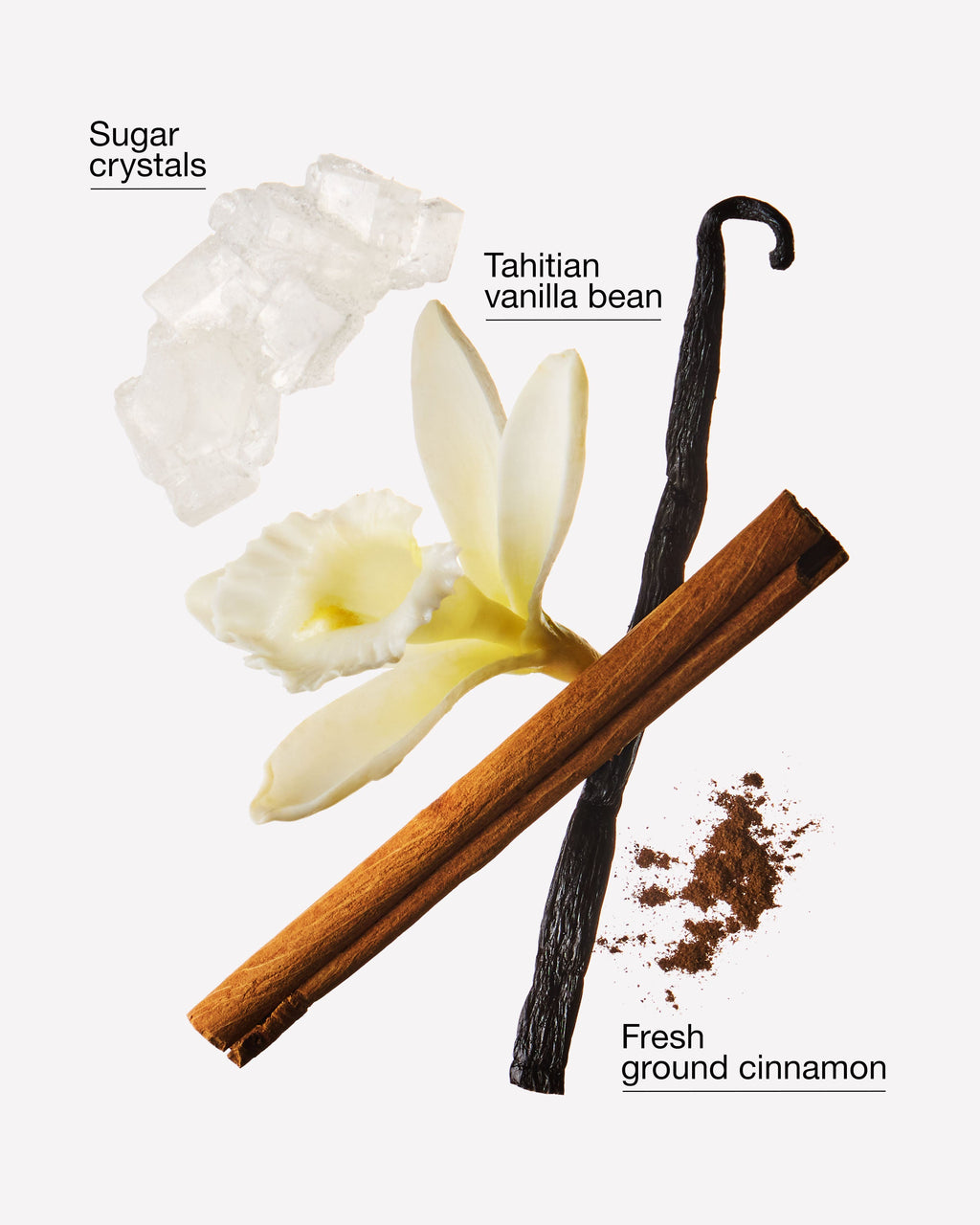 Cinnamon Spiced Vanilla Cleansing Gel Hand Soap