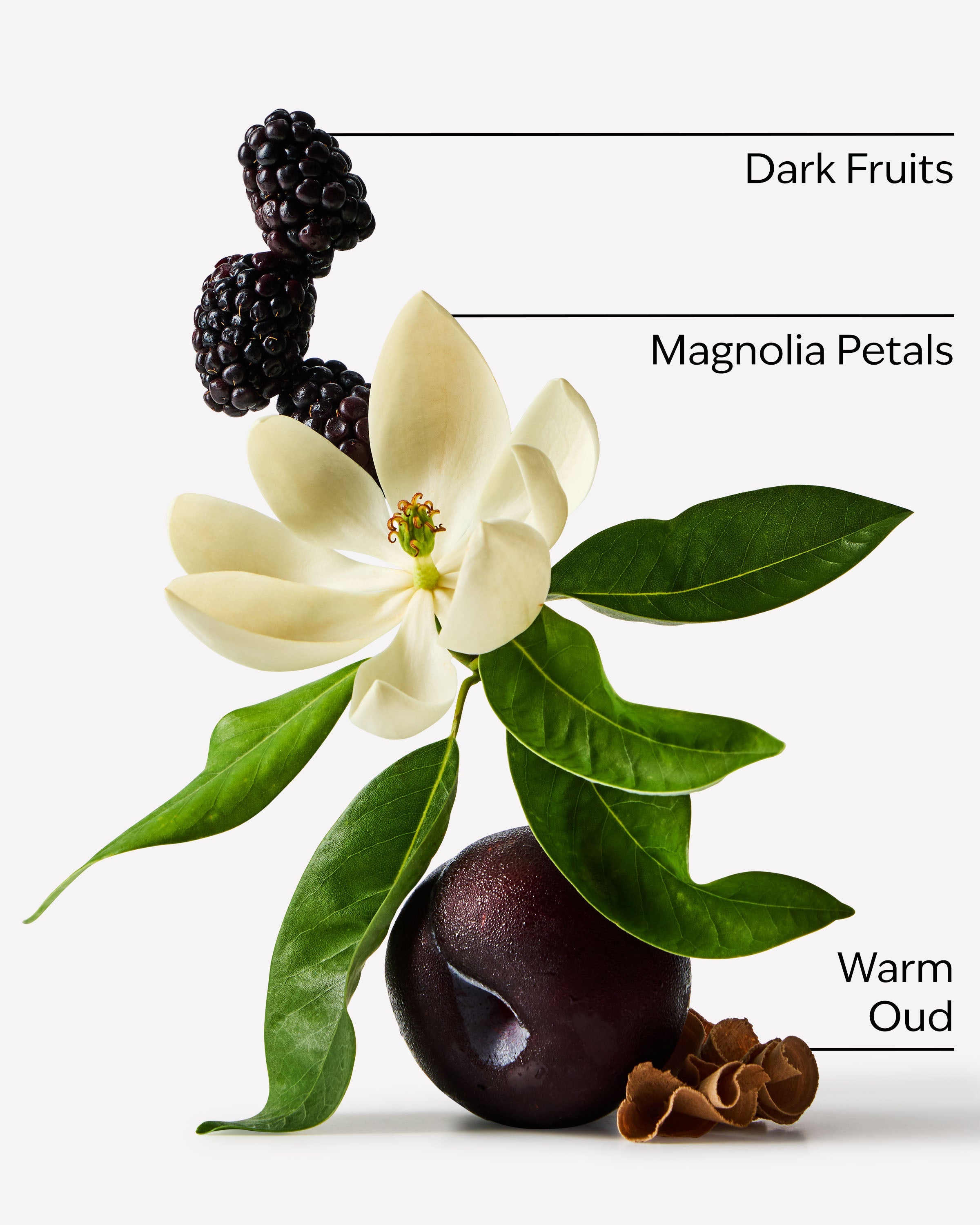 Oud Berry Body Wash