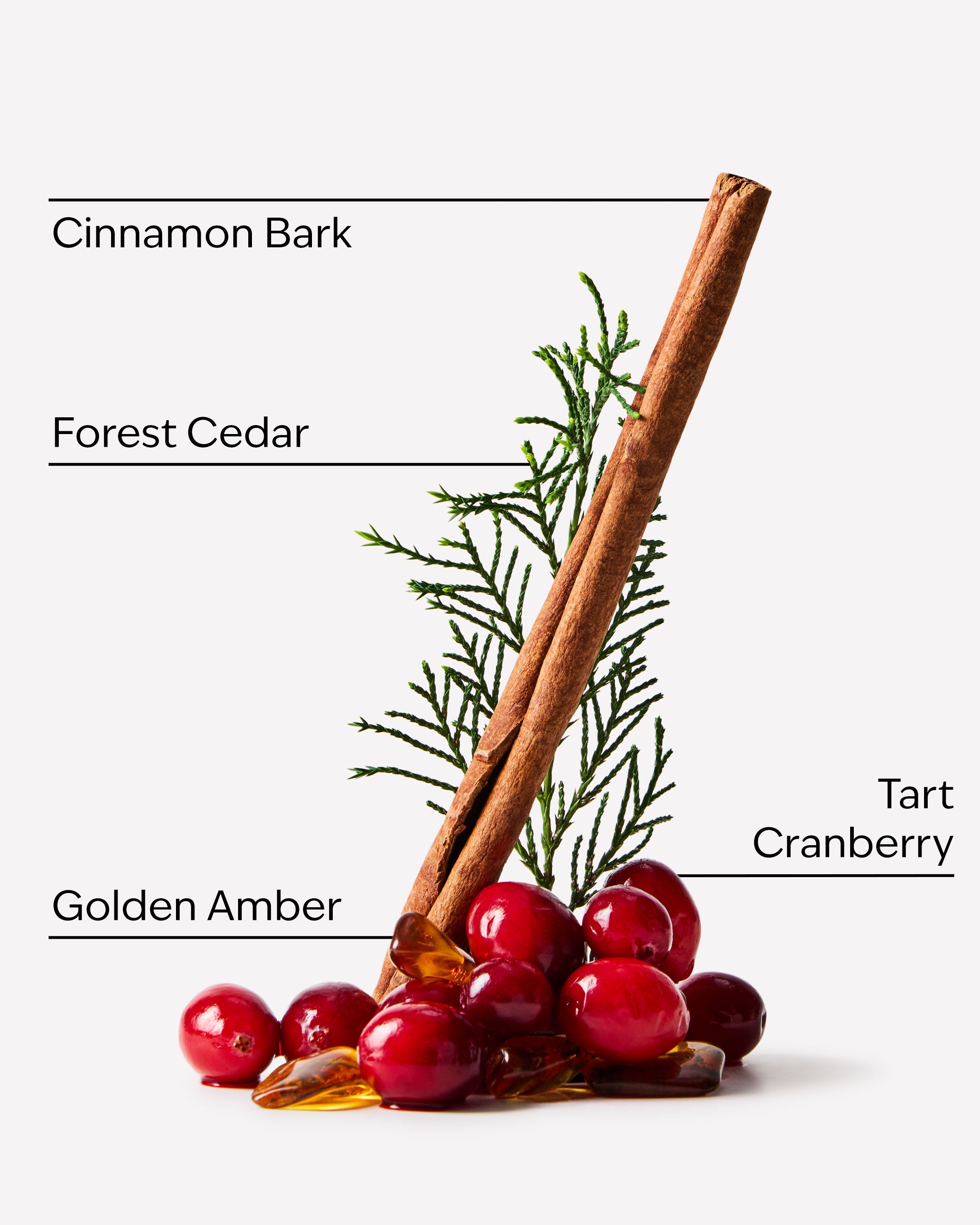 Cranberry Woods 3-Wick Candle