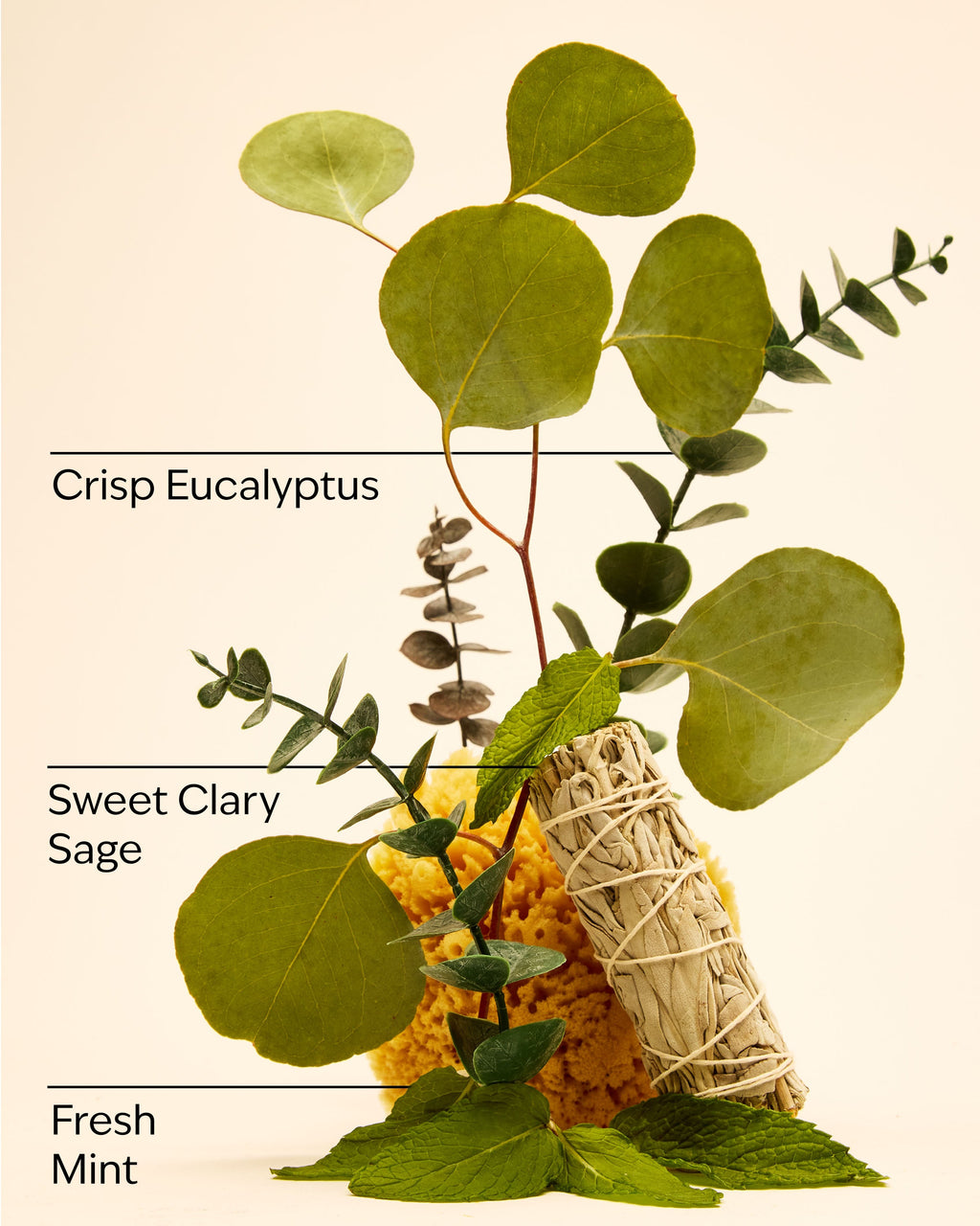 Eucalyptus Mint PocketBac Hand Sanitizer