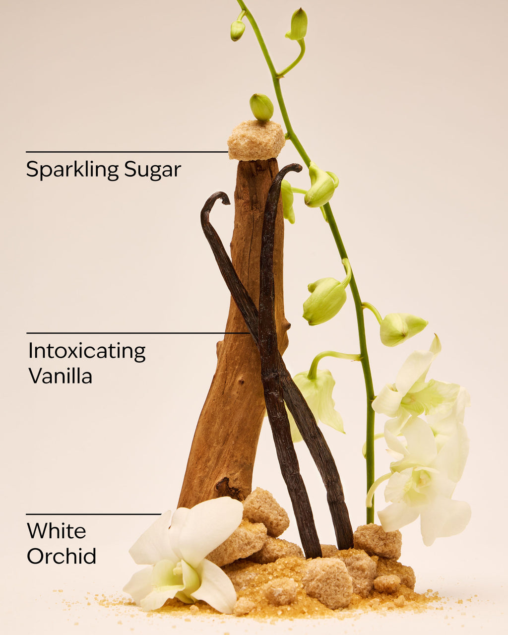 Warm Vanilla Sugar Moisturizing PocketBac Hand Sanitizer