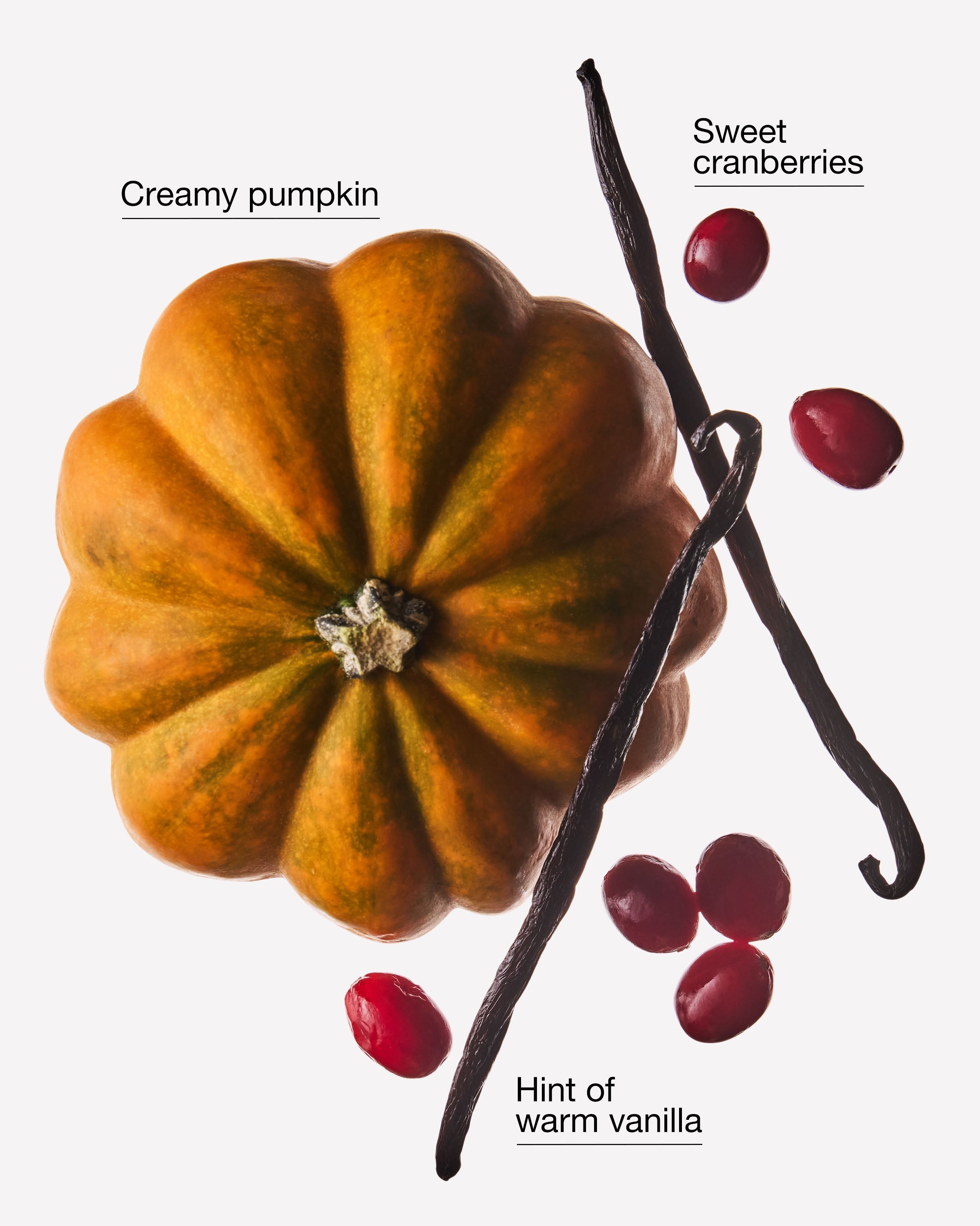 Cranberry Pumpkin 3-Wick Candle