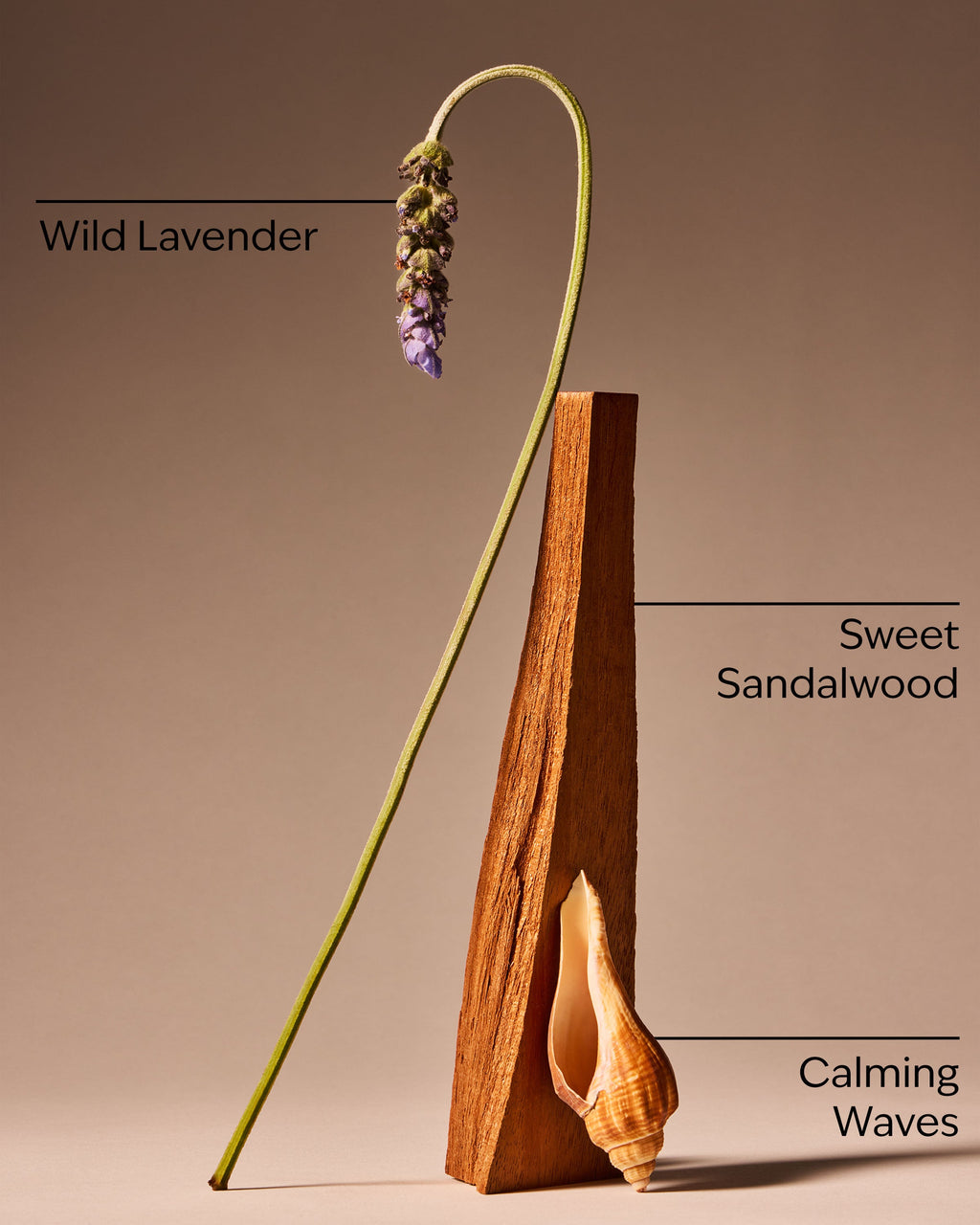 Oceanside Lavender Car Fragrance Refill