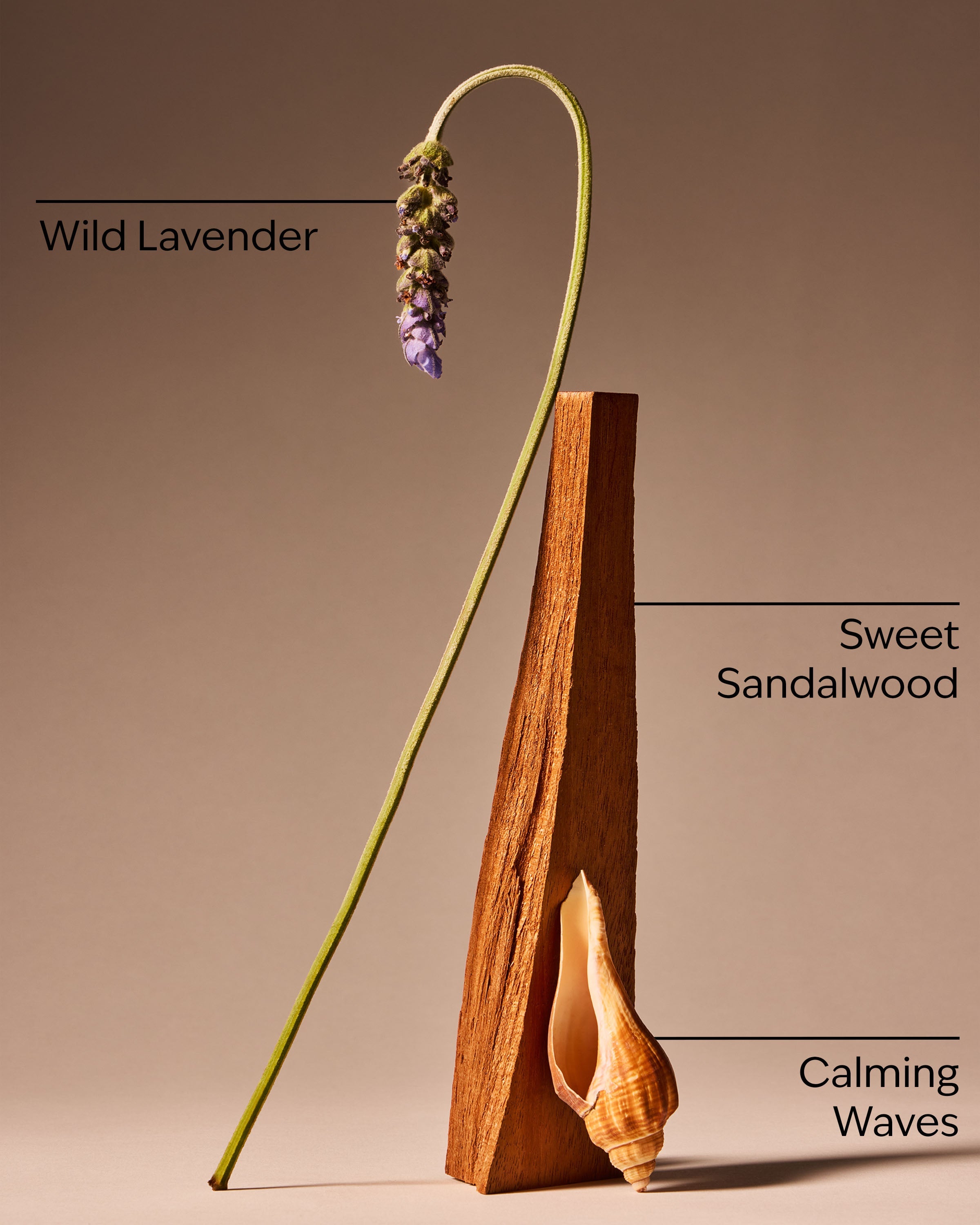 Oceanside Lavender Car Fragrance Refill