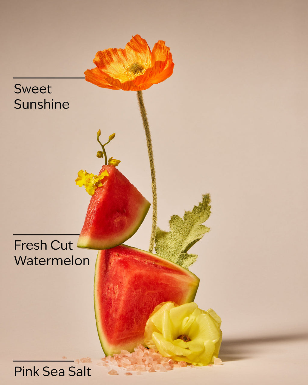 Fresh Watermelon Car Fragrance Refill