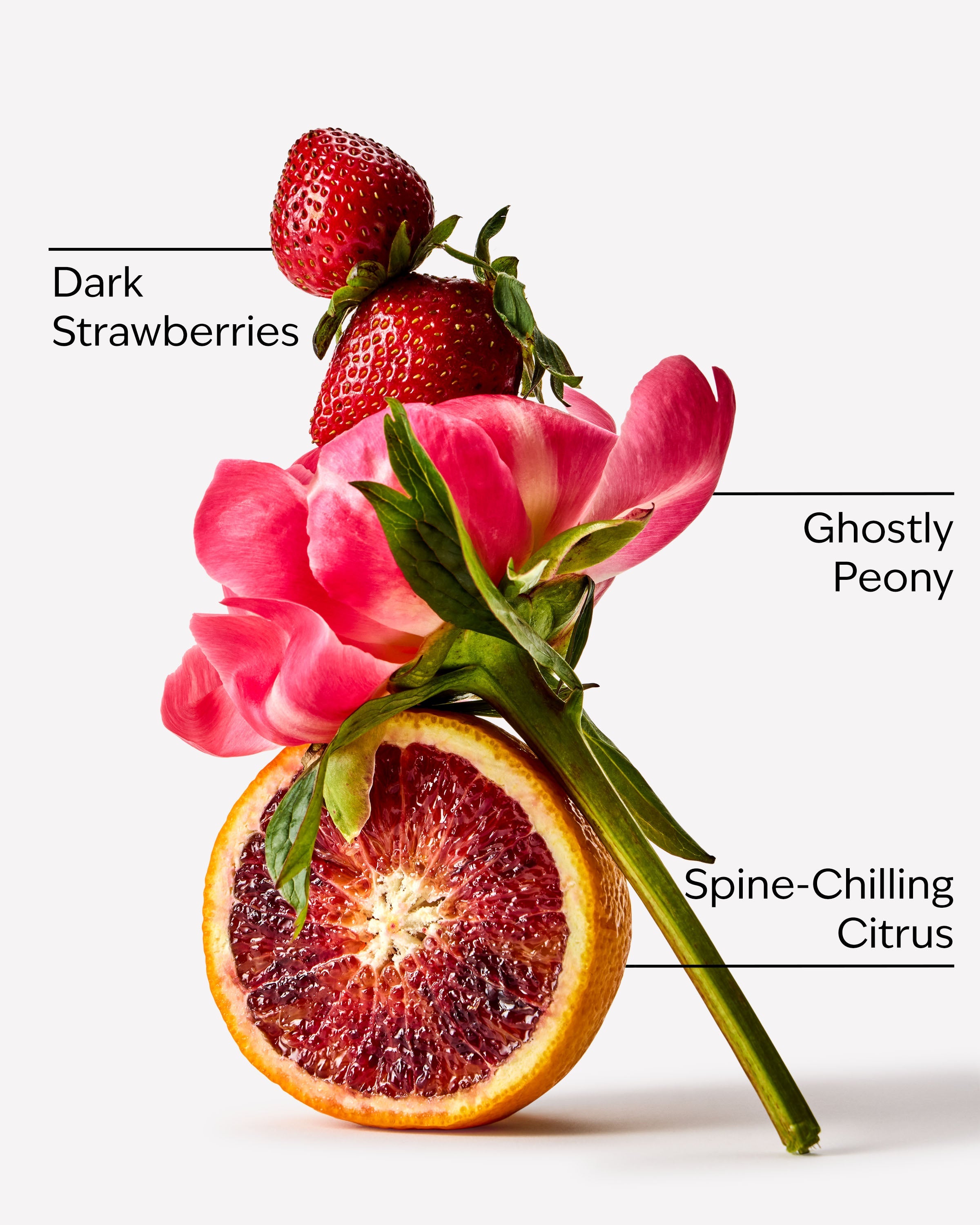 Ghoul Friend Lip Oil