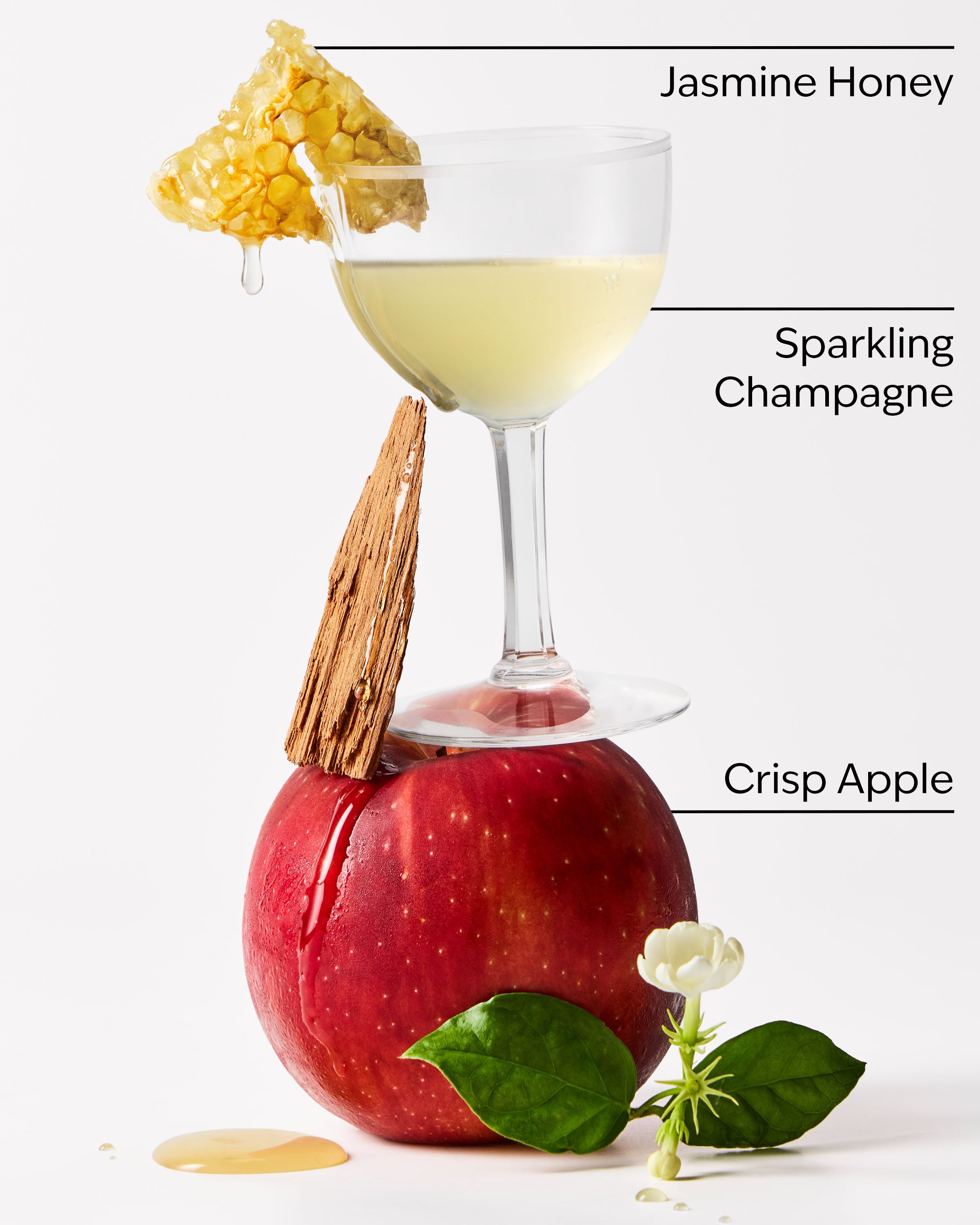 Champagne Apple & Honey Gentle & Clean Foaming Hand Soap