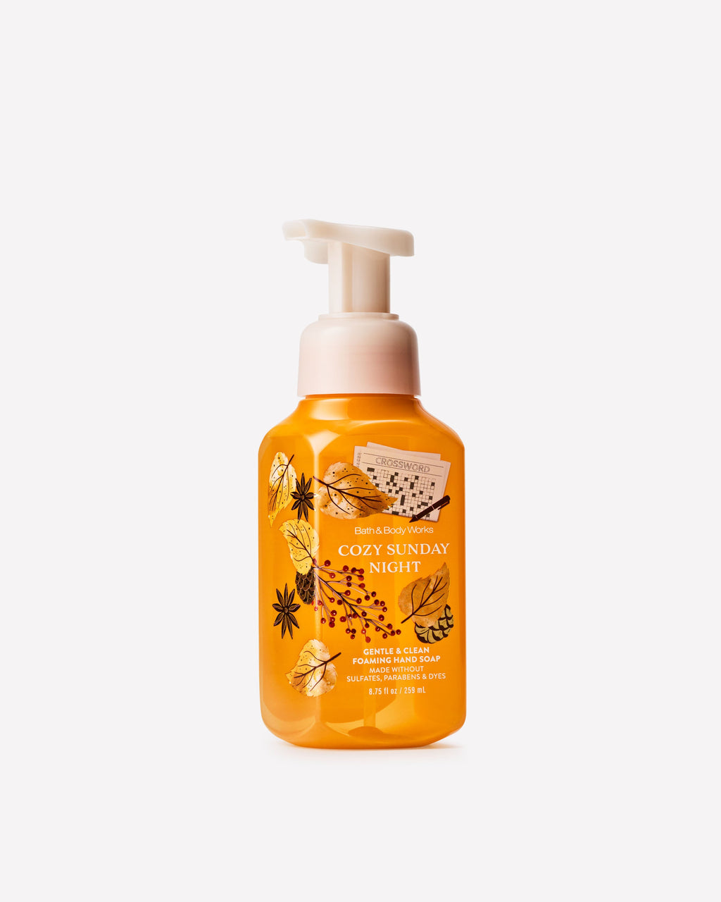 Cozy Sunday Night Gentle & Clean Foaming Hand Soap
