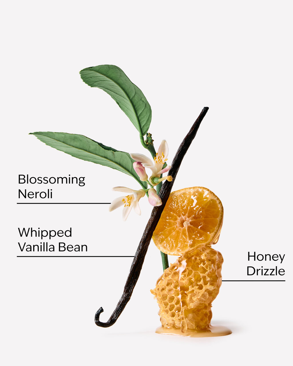 Whipped Honey & Vanilla PocketSpray Hand Sanitizer