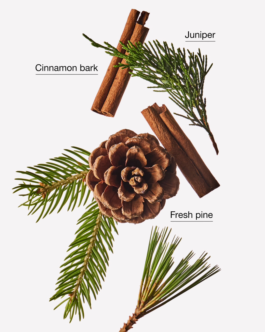 Cinnamon Pinecone Single Wick Candle