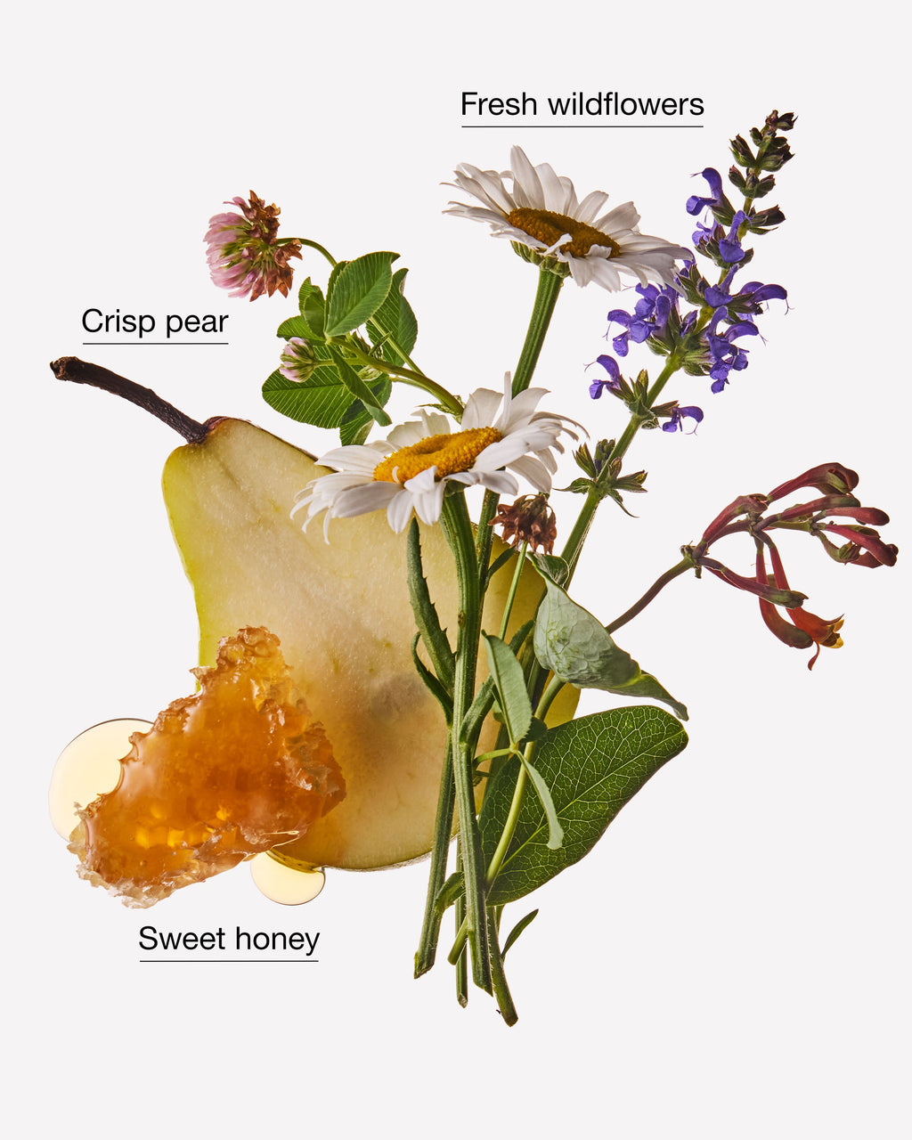 Honey Wildflower Wallflowers Refills 2-Pack