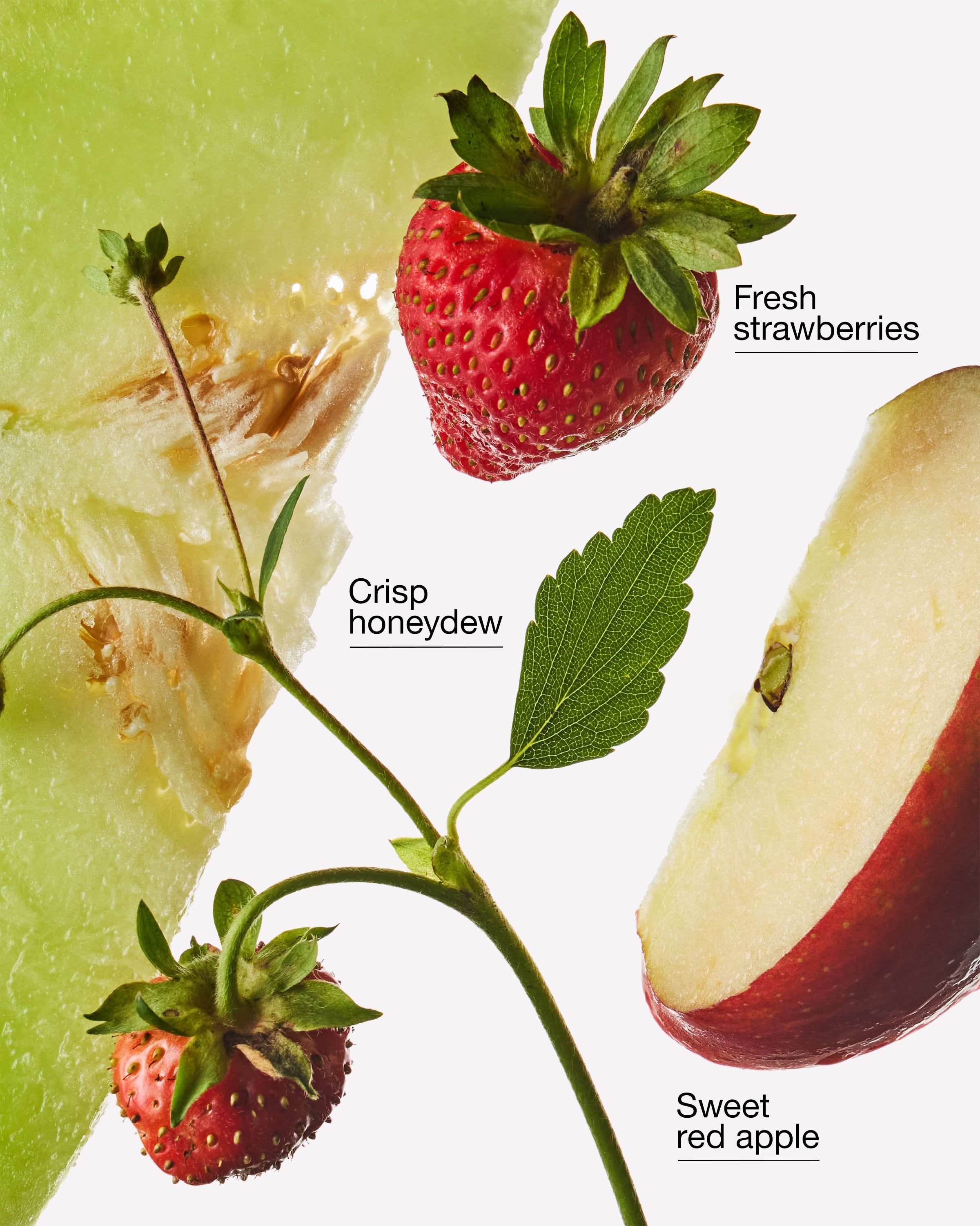 Strawberry Melon Wallflowers Refills 2-Pack