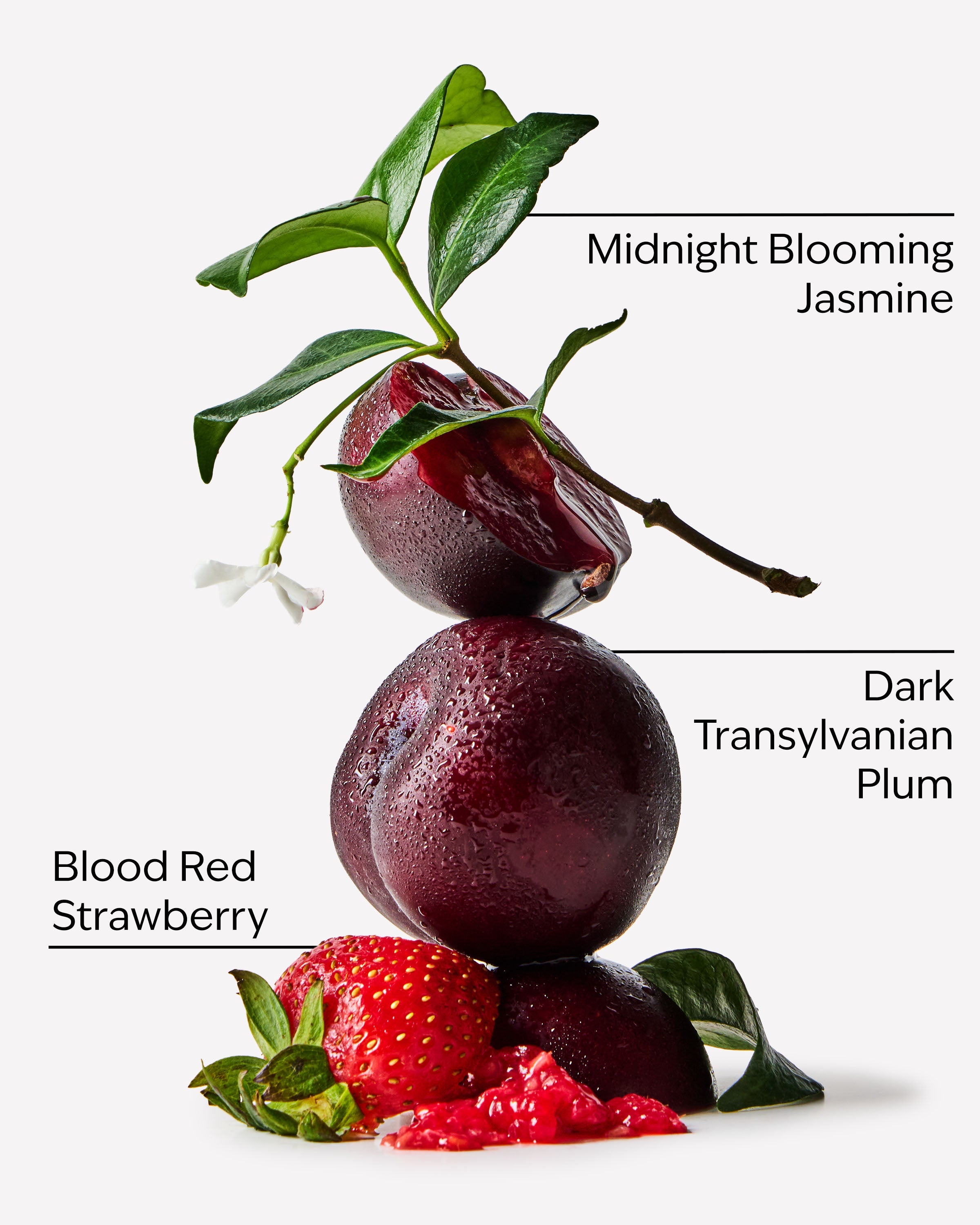 Vampire Blood Fragrance Booster